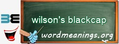 WordMeaning blackboard for wilson's blackcap